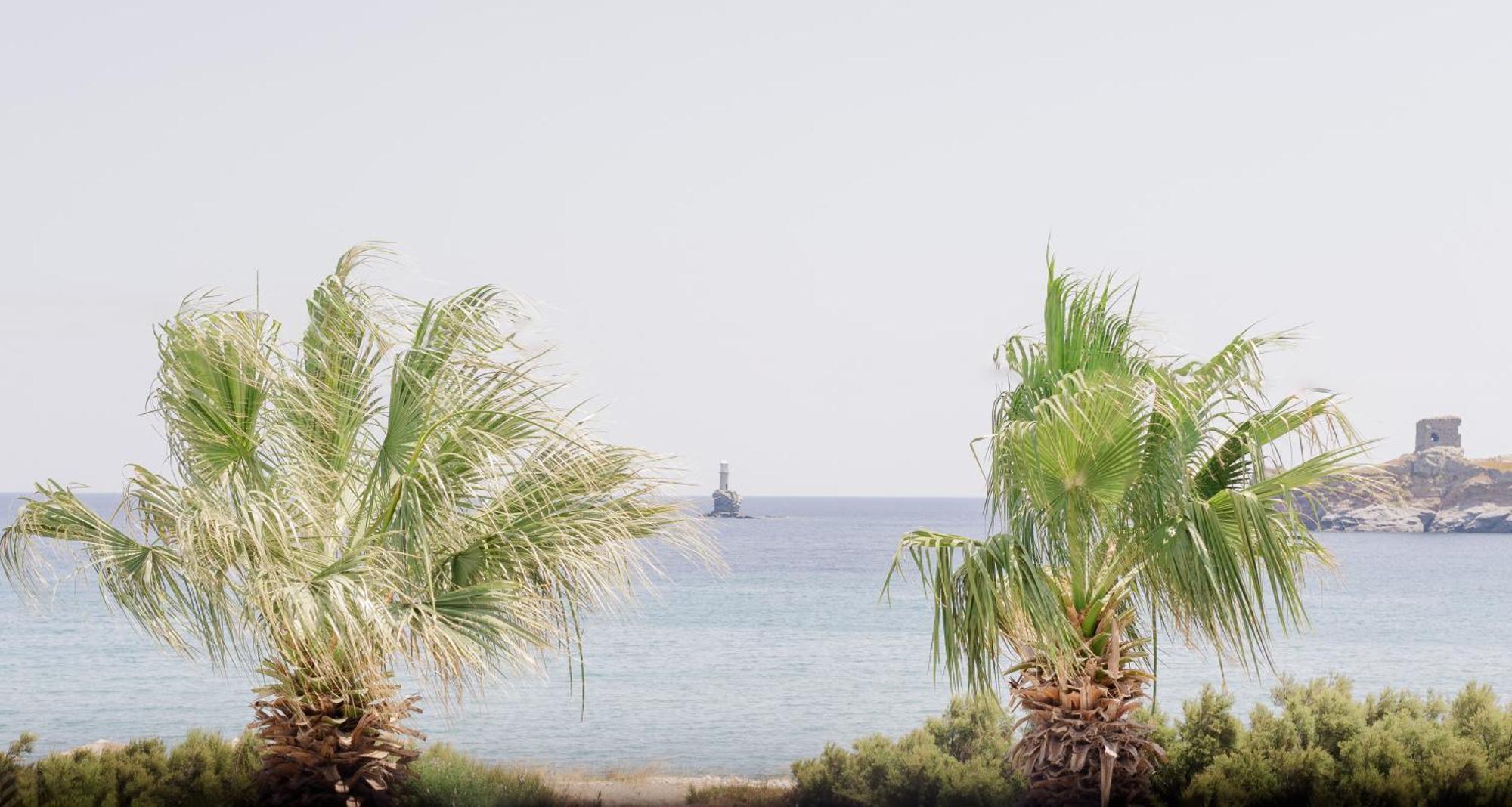Rodavgi Apartments Άνδρος Εξωτερικό φωτογραφία